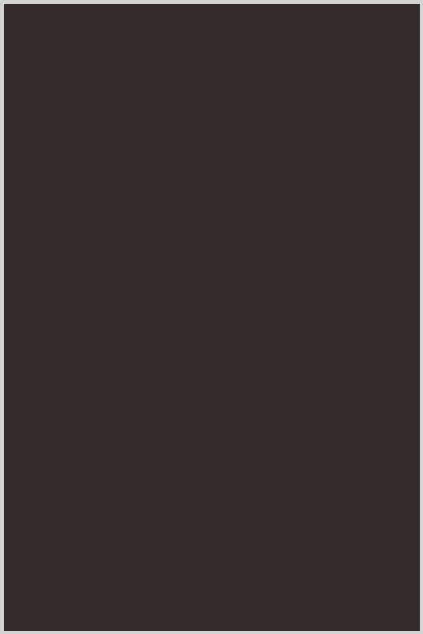 Bella Solids By Moda Espresso