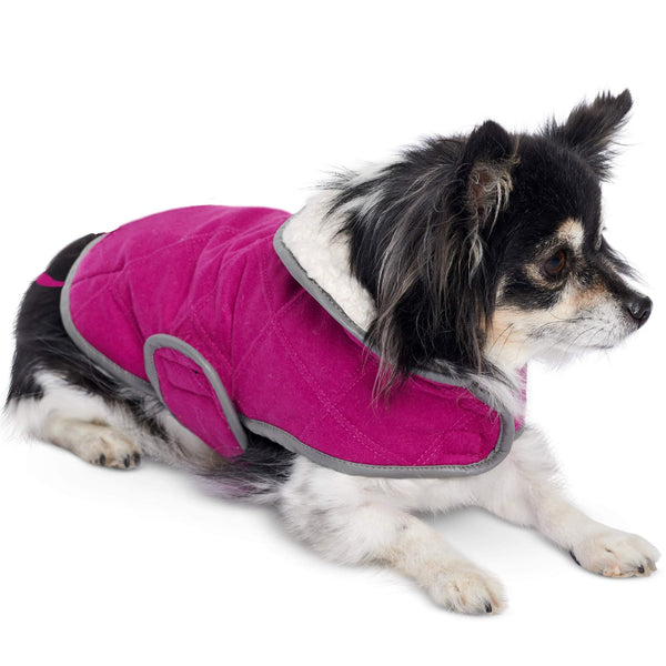 Burda - 6049 Dog Coat