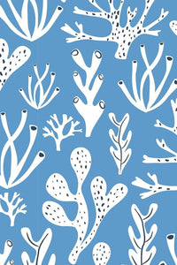 Dashwood Studio Rock Pool Coral Blue / White