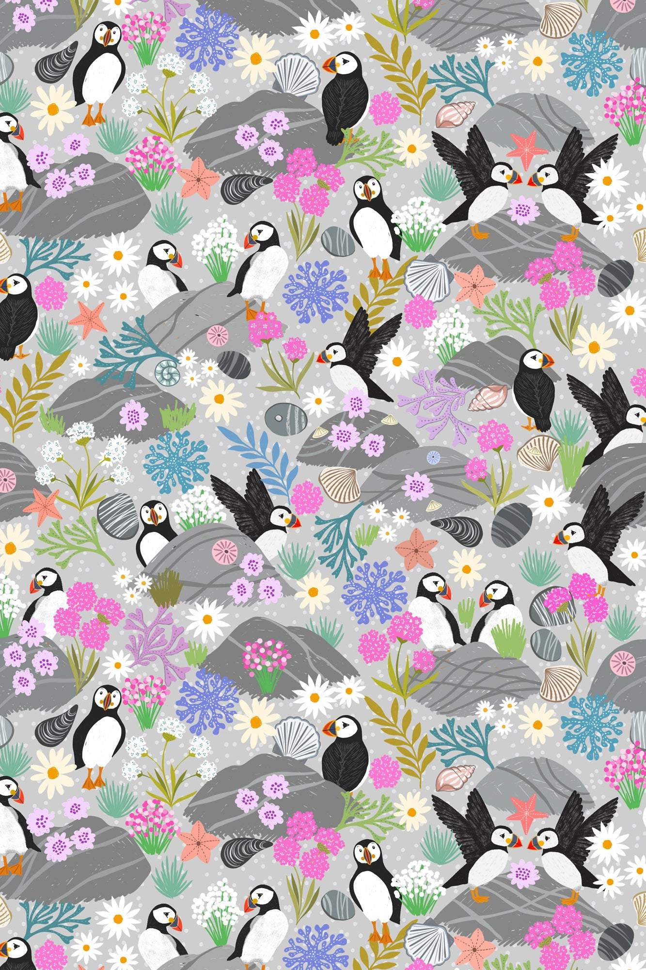Puffin Rock Puffin Bay Puffins By Lewis & Irene Light Rock