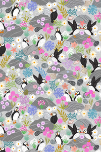 Puffin Rock Puffin Bay Puffins By Lewis & Irene Light Rock