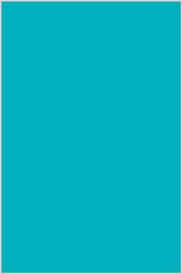 Sevenberry 80 Square Cotton Turquoise