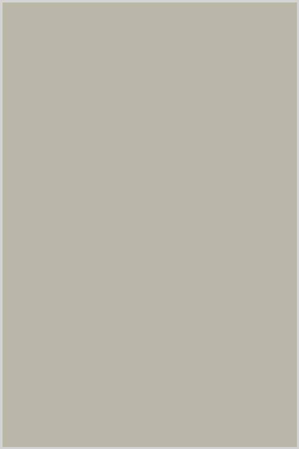 Superior Cotton Solid Light Khaki