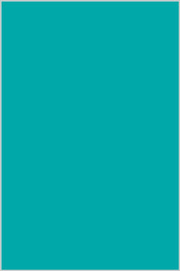 Superior Cotton Solid Turquoise