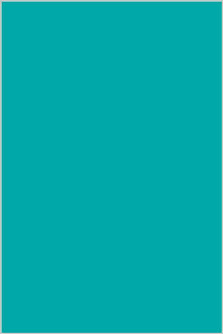 Superior Cotton Solid Turquoise